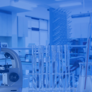 Masterclass - De la Norma a la Realidad: BPL